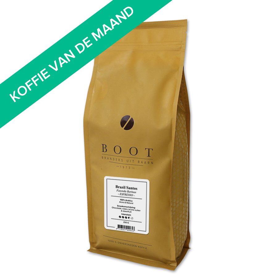 Boot Brazil Santos 1000 gr.
