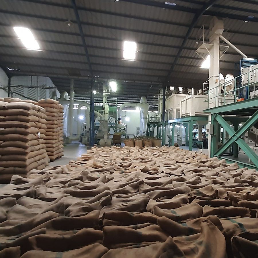 Boot Indonesia Sumatra Organic Espresso 1000 gr.