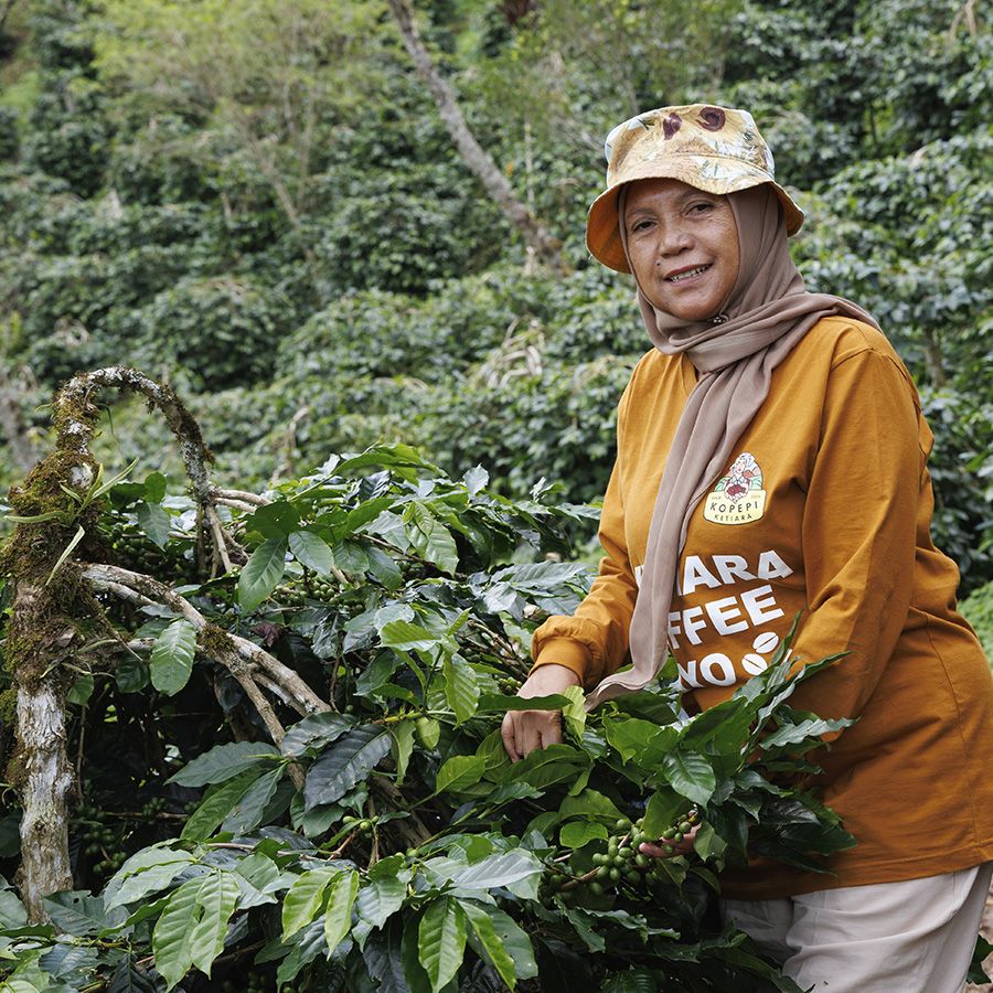 Boot Indonesië Sumatra Ketiara Organic Espresso 1000 gr.
