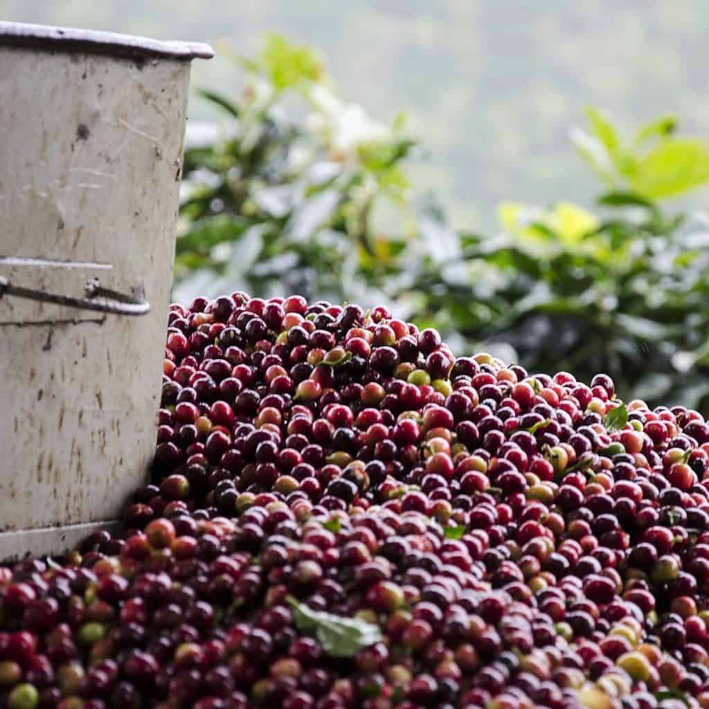 Keen Coffee Naranjo Organic Peru Espresso 250 gr